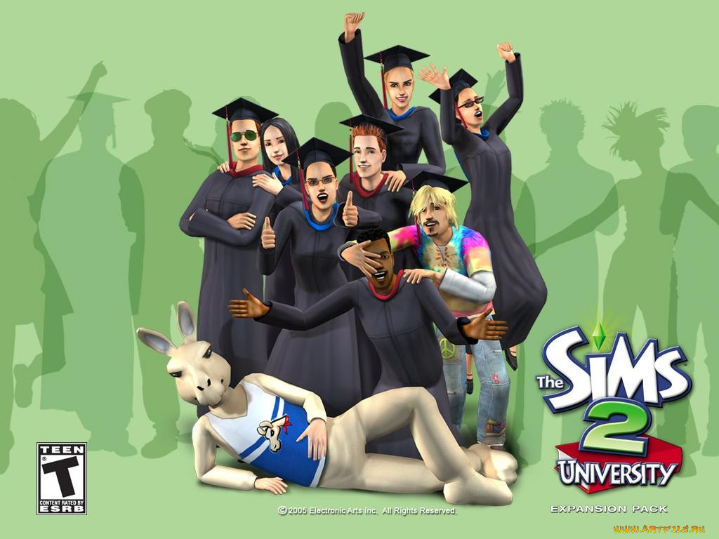 , , the, sims, university